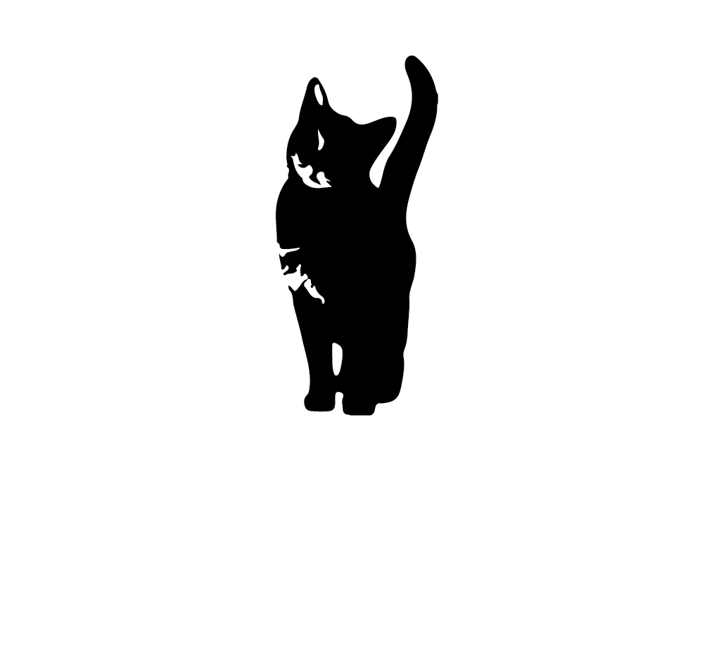 curiosity text logo