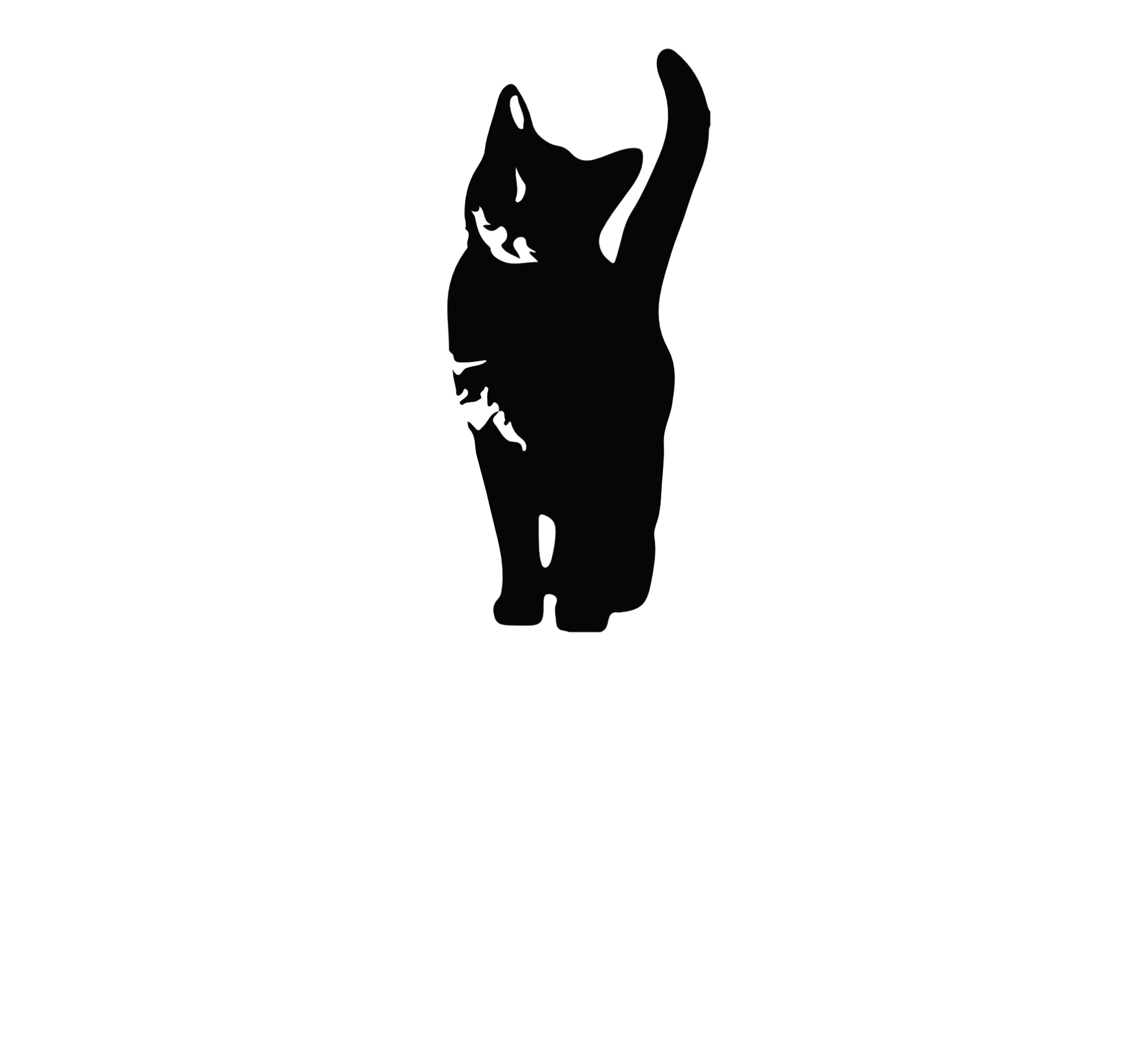 curiosity white text